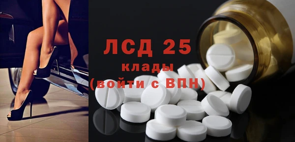 прущие грибы Краснотурьинск
