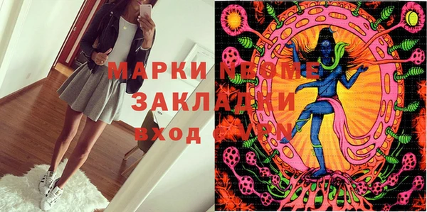 прущие грибы Краснотурьинск