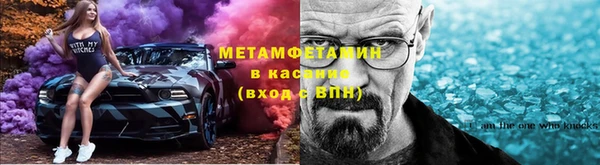 прущие грибы Краснотурьинск